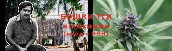 мдпв Верея