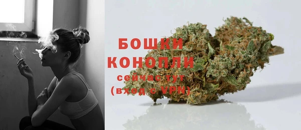 мдпв Верея