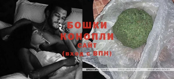 мдпв Верея