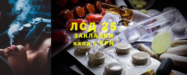 мдпв Верея