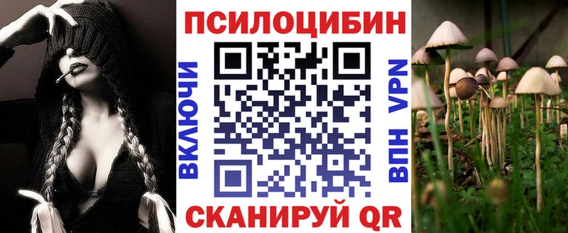магазин наркотиков Геленджик blacksprut зеркало Галлюциногенные грибы Psilocybe